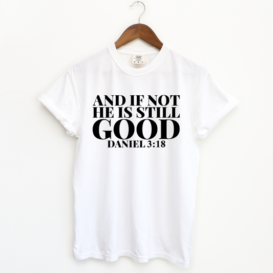 An impactful unisex women's t-shirt featuring the phrase 'If Not, God is Still Good.' The text is prominent and centered on the shirt, set against a neutral backdrop. The design exudes strength and positivity, embodying the message of unwavering faith."