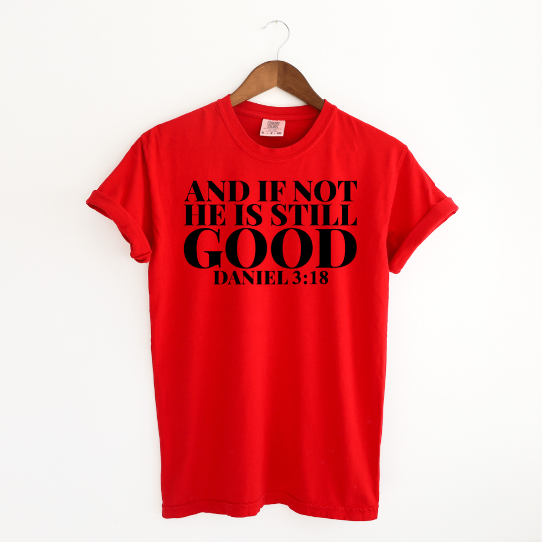 An impactful unisex women's t-shirt featuring the phrase 'If Not, God is Still Good.' The text is prominent and centered on the shirt, set against a neutral backdrop. The design exudes strength and positivity, embodying the message of unwavering faith."