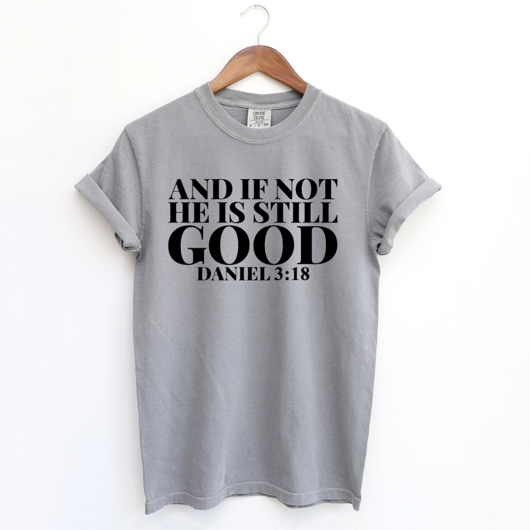 An impactful unisex women's t-shirt featuring the phrase 'If Not, God is Still Good.' The text is prominent and centered on the shirt, set against a neutral backdrop. The design exudes strength and positivity, embodying the message of unwavering faith."