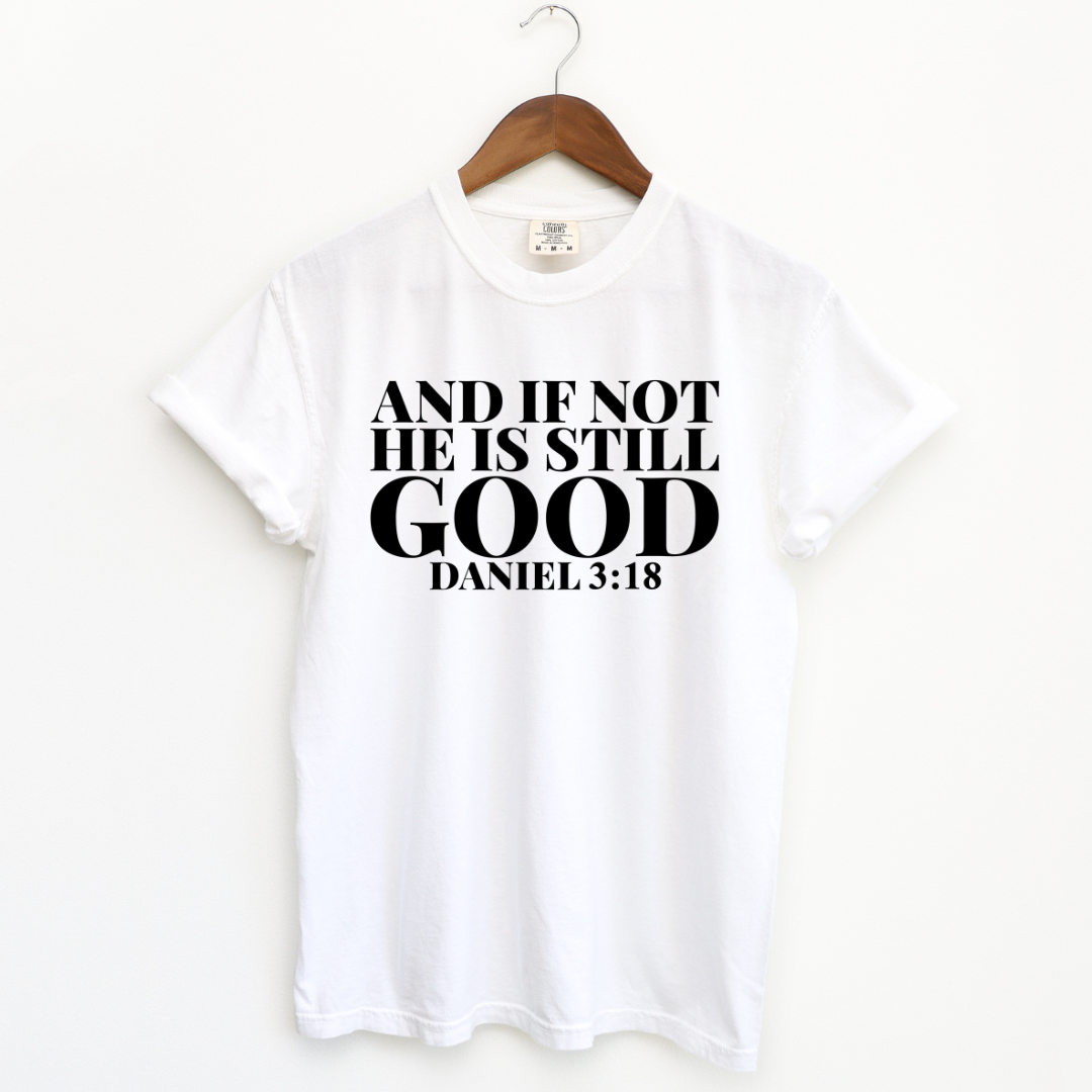 An impactful unisex women's t-shirt featuring the phrase 'If Not, God is Still Good.' The text is prominent and centered on the shirt, set against a neutral backdrop. The design exudes strength and positivity, embodying the message of unwavering faith."